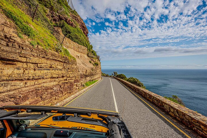 Half day Peninsula & Wine Combo tour - Photo 1 of 13